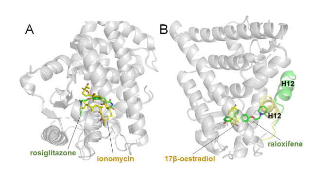 
Figure4
