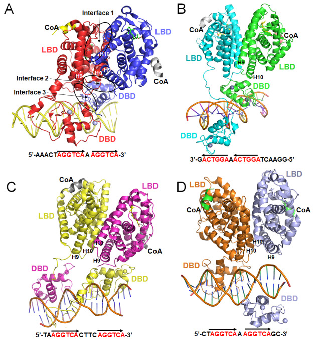 
Figure6
