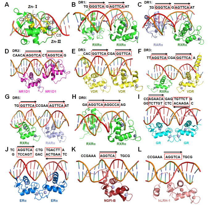 
Figure2
