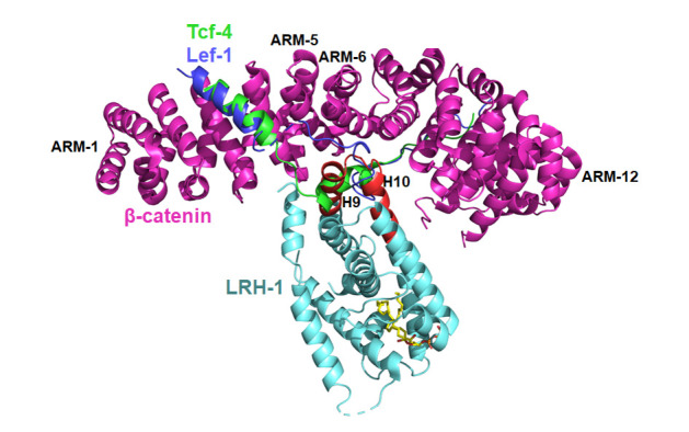 
Figure7
