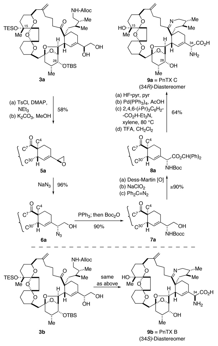 Scheme 2