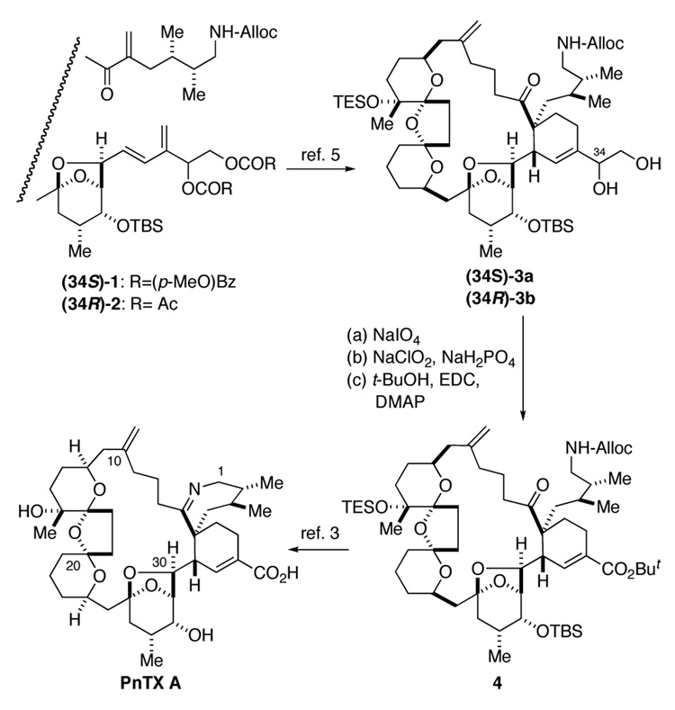 Scheme 1