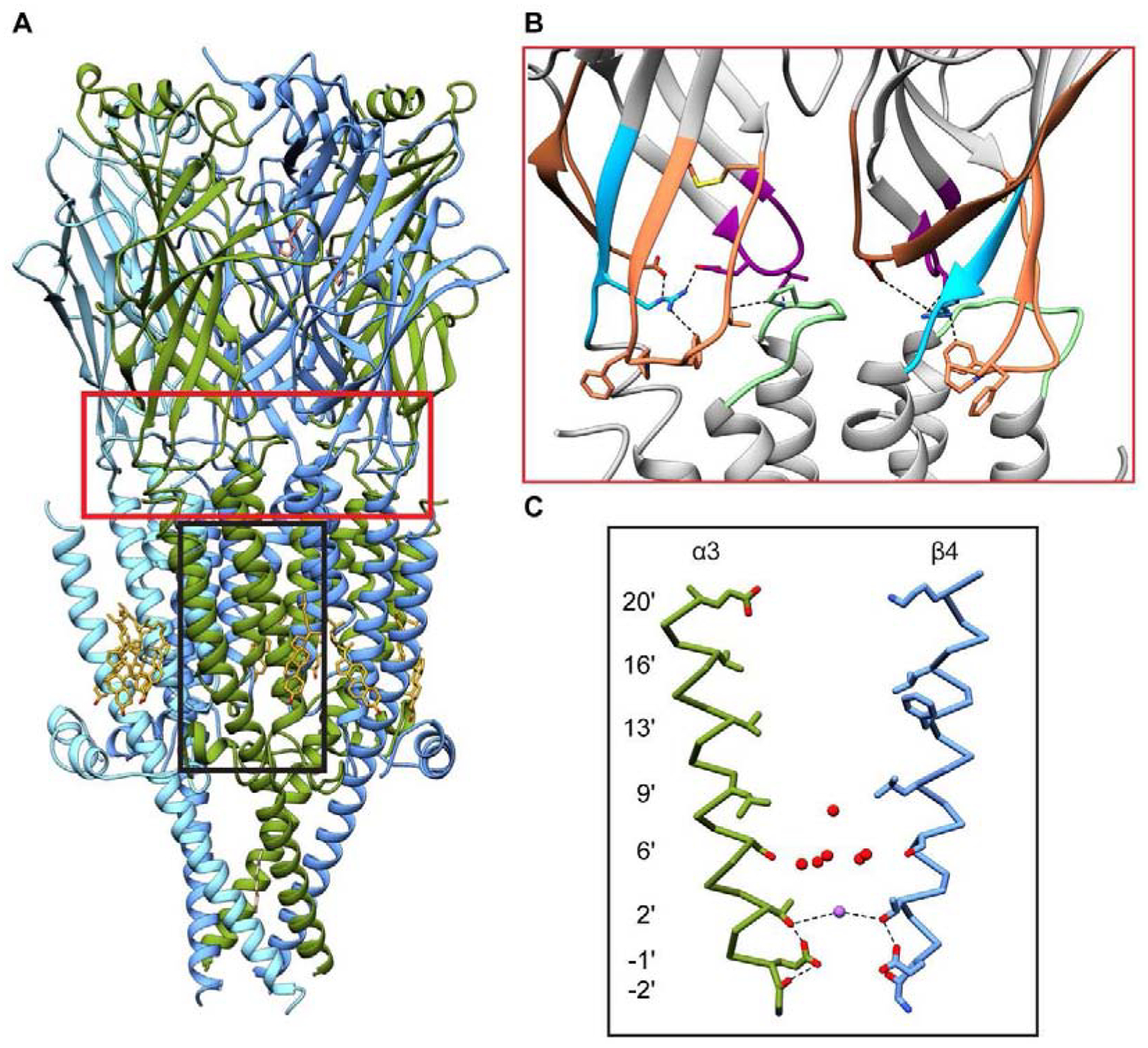 Figure 4: