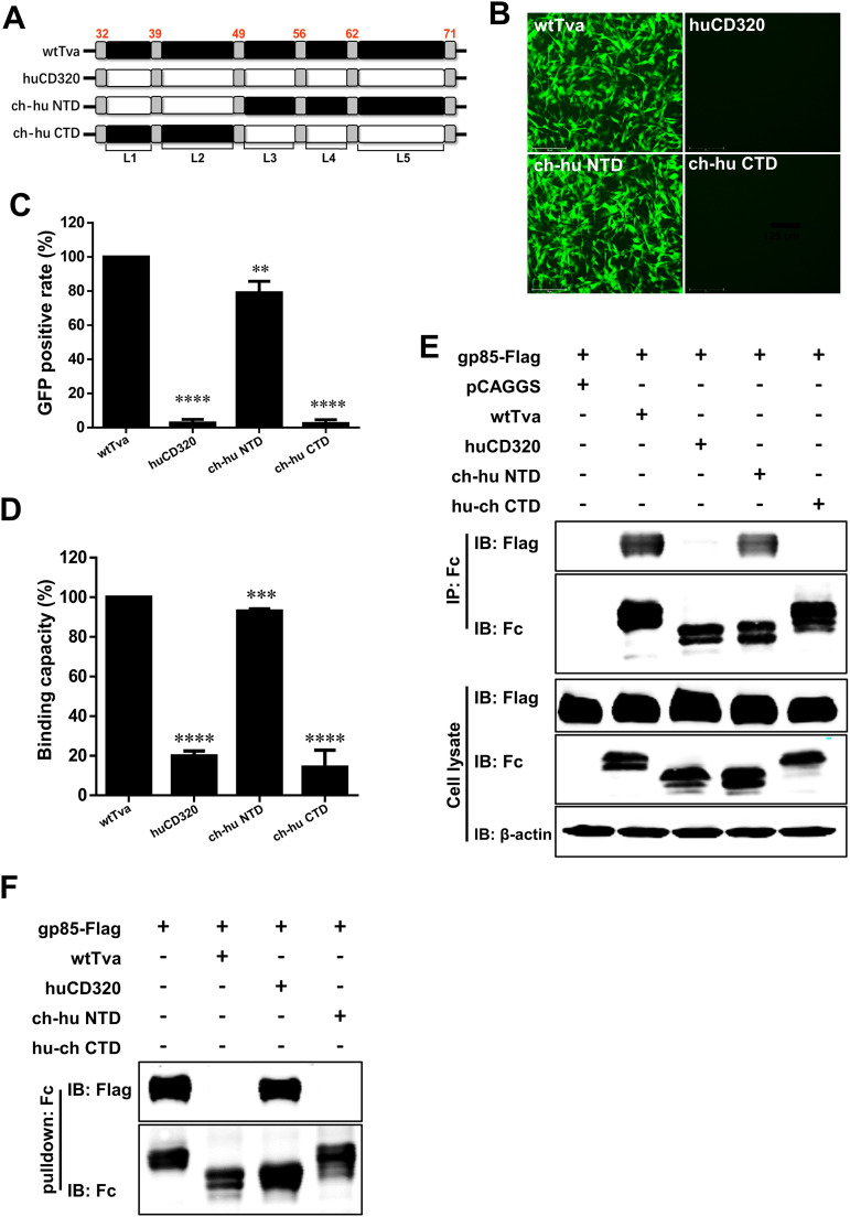 FIG 2