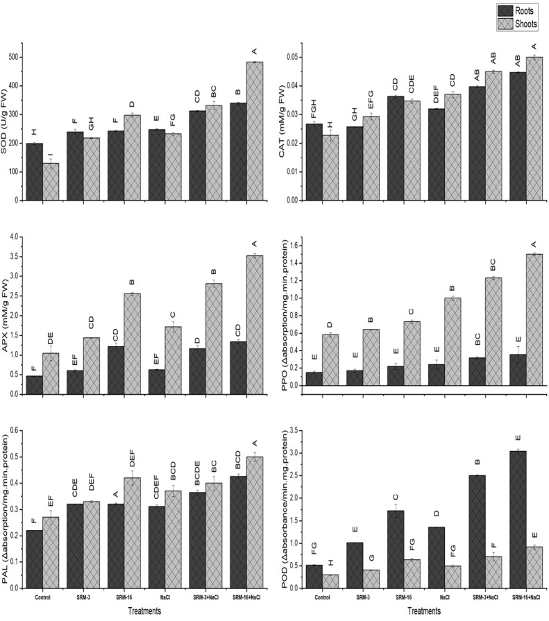 Fig 5