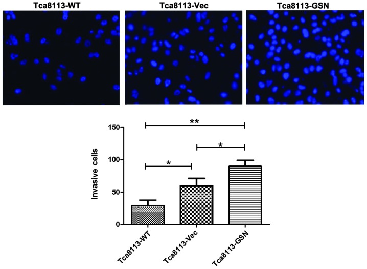 Figure 6.