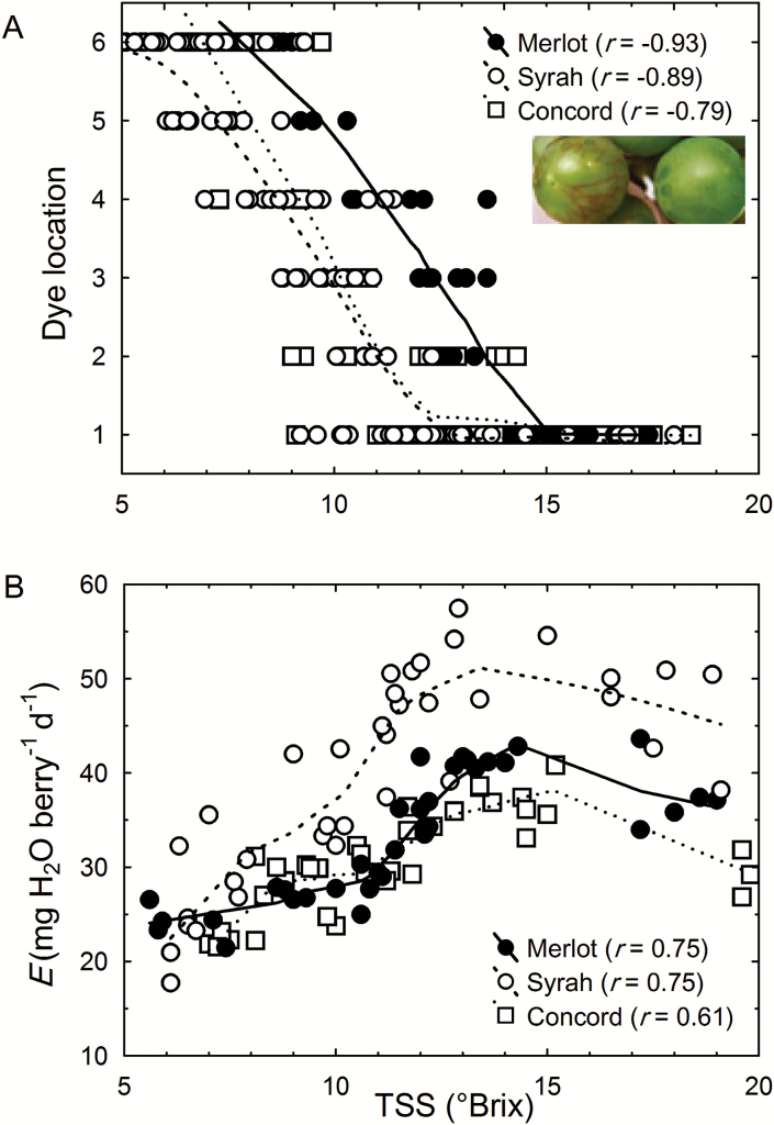 Fig. 3.