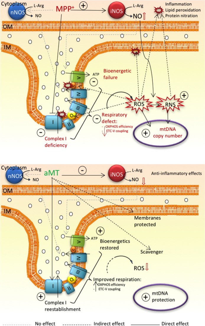 Fig 8