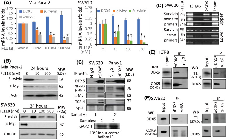 FIGURE 4