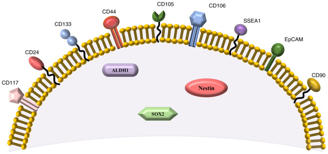 Figure 2.