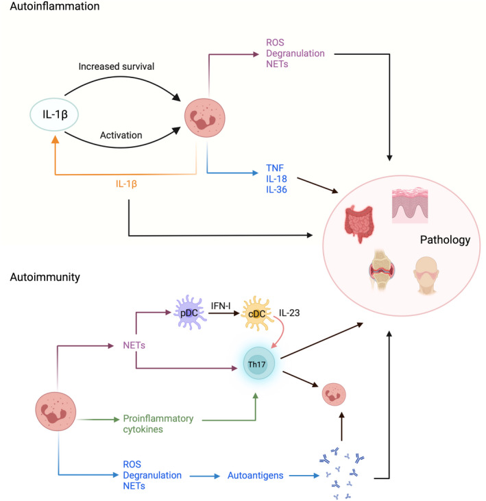 FIGURE 4