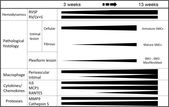 Fig 10