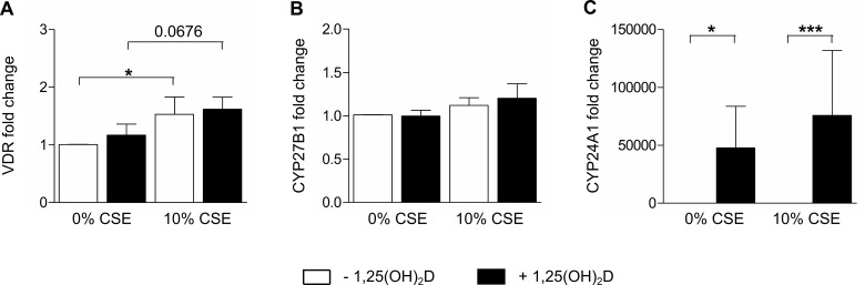 Fig 6