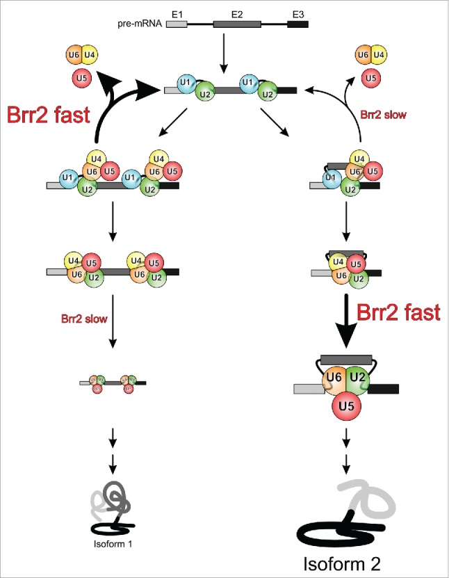 Figure 6.