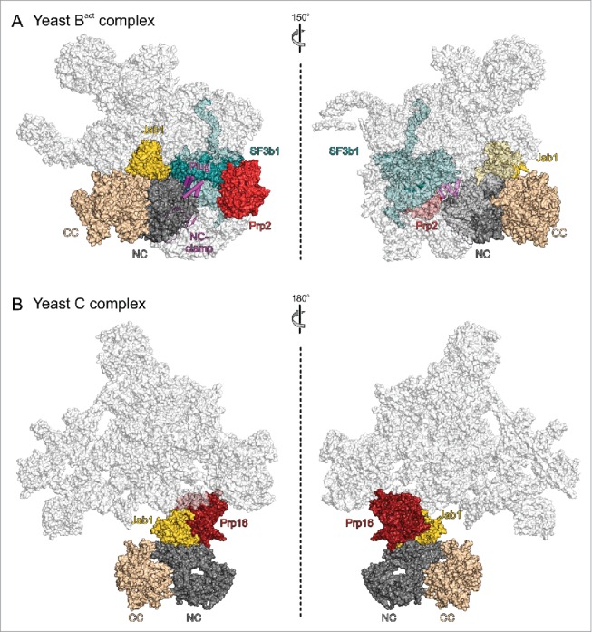 Figure 5.