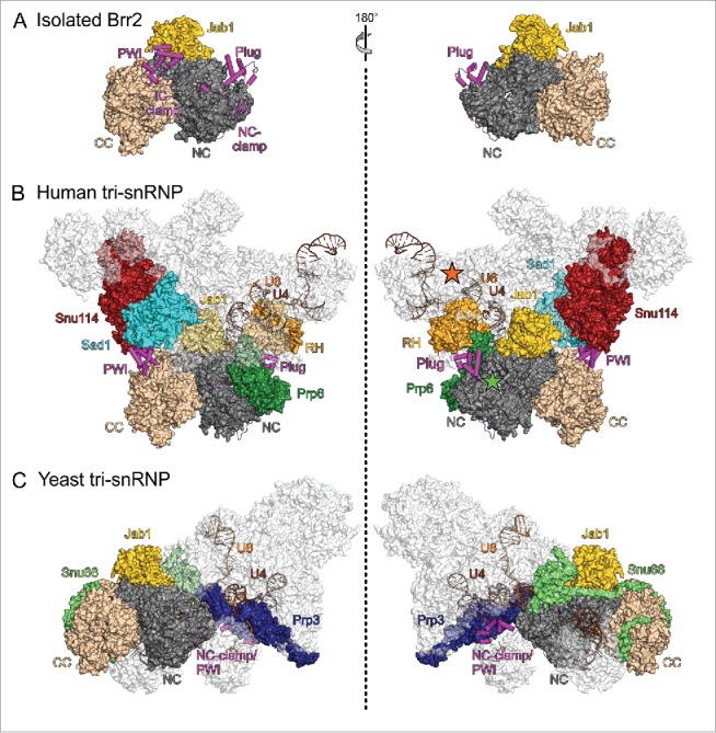 Figure 4.