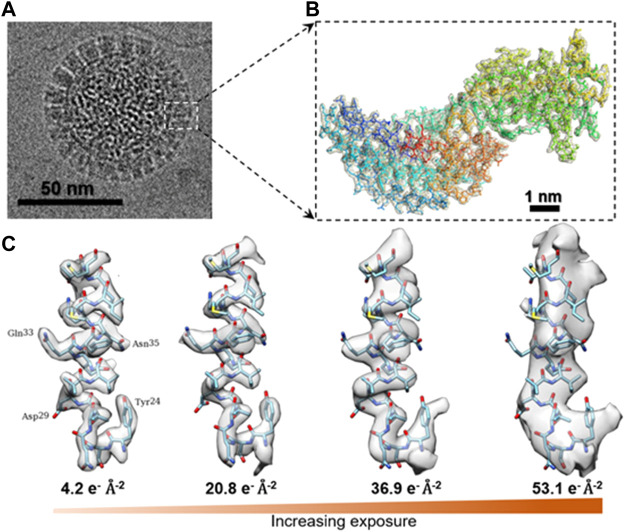 FIGURE 4