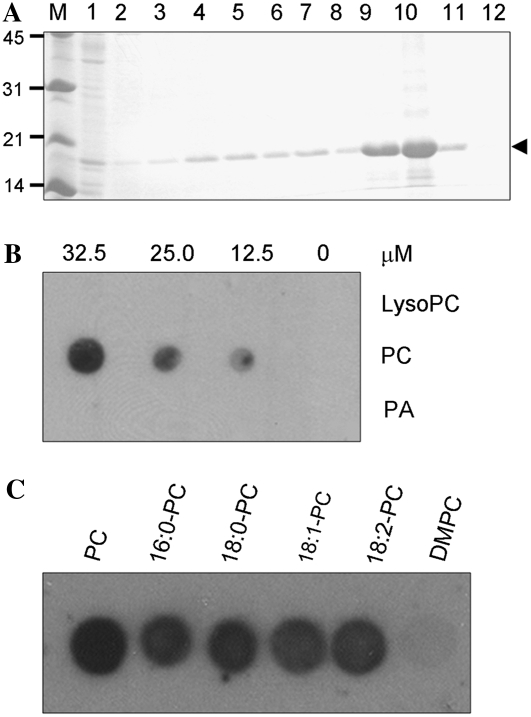 Figure 7.