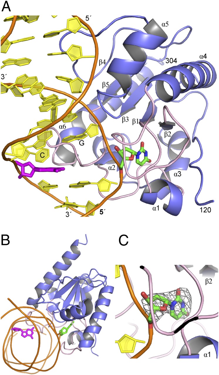 Fig. 1.