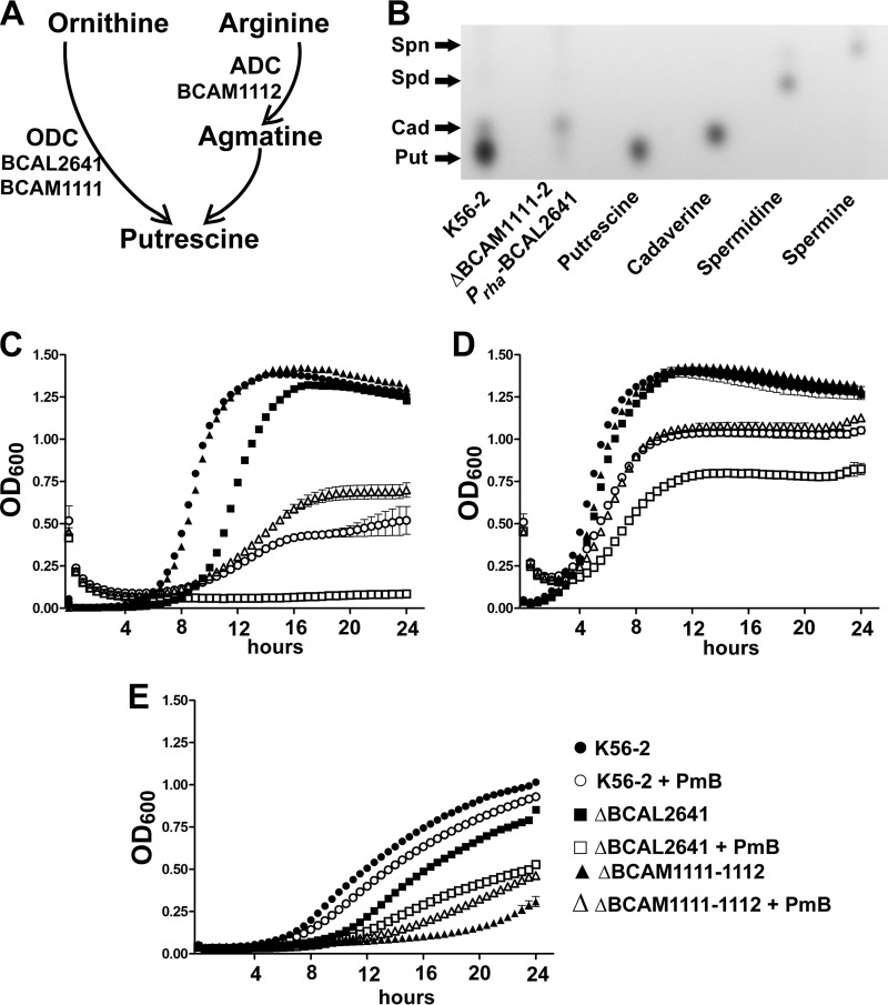 FIG 2