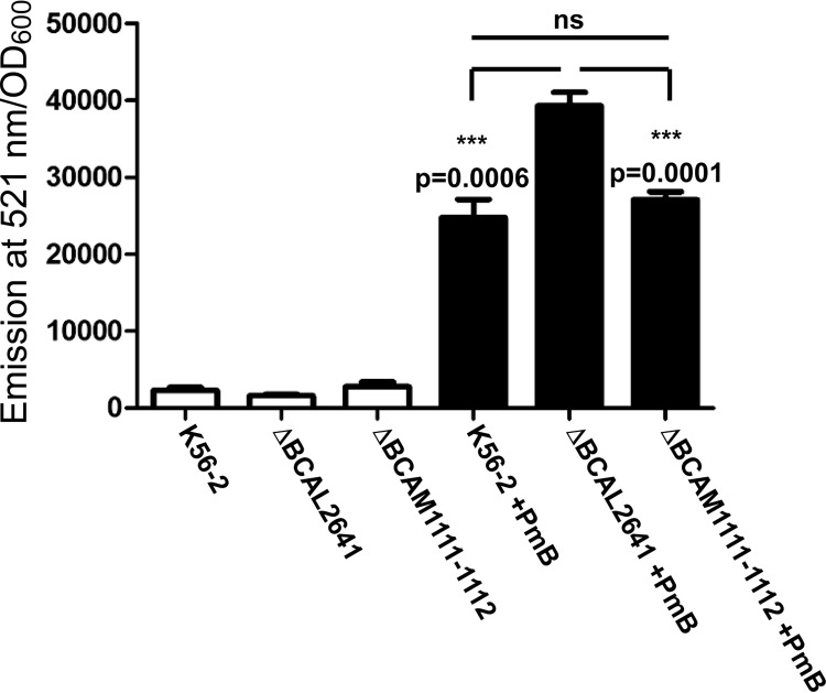 FIG 3