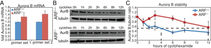 FIGURE 7: