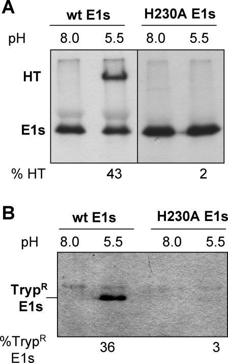 FIG. 8.