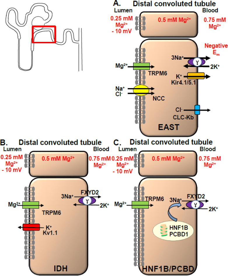 Fig. 3