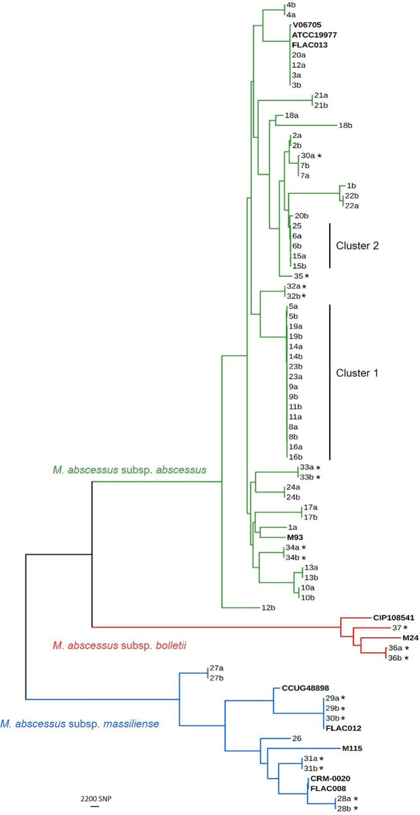 FIG 1