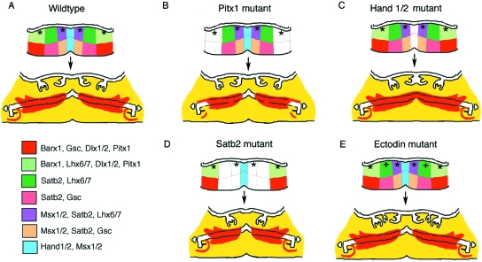 Fig. 3