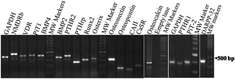 Figure 2.