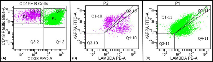 FIGURE 2