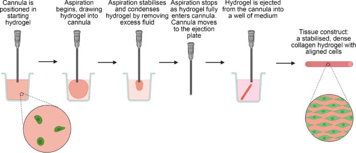 Fig. 10