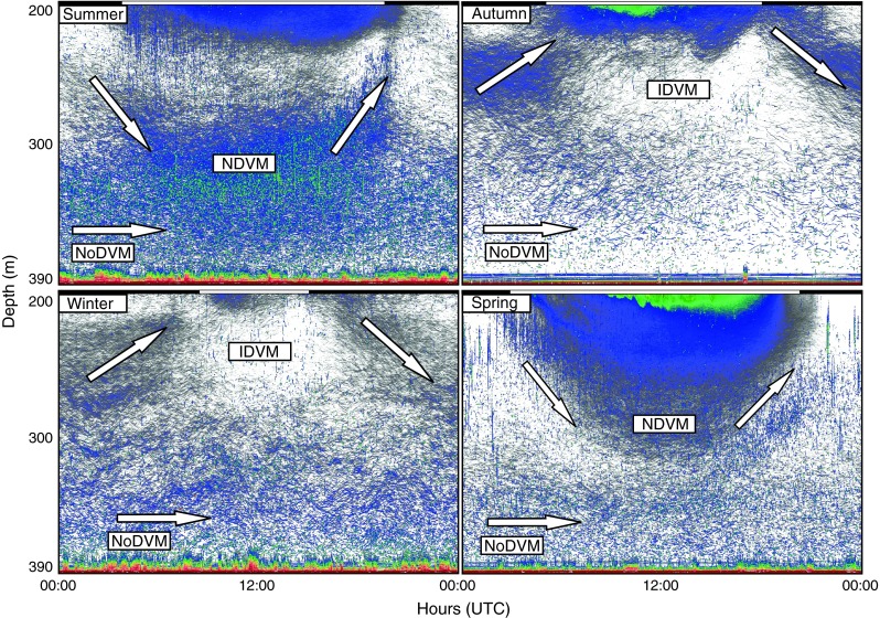 Fig. 3