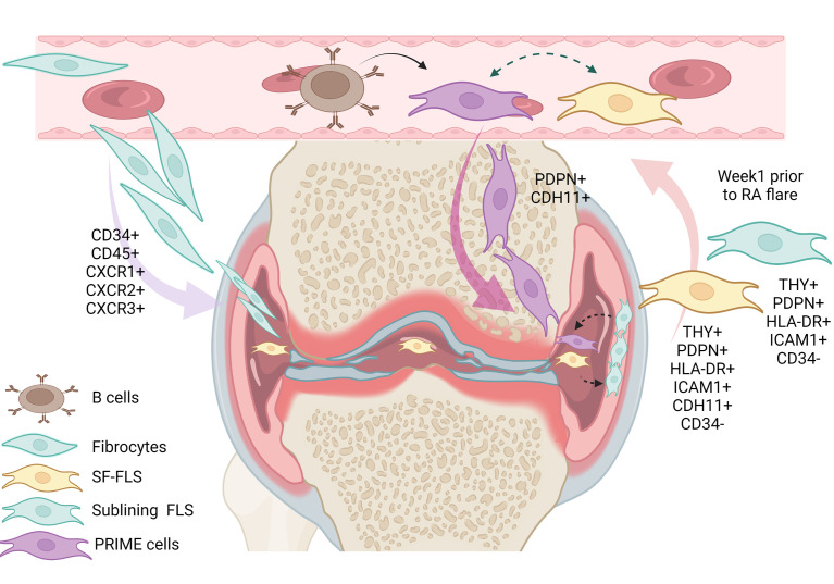 Figure 2