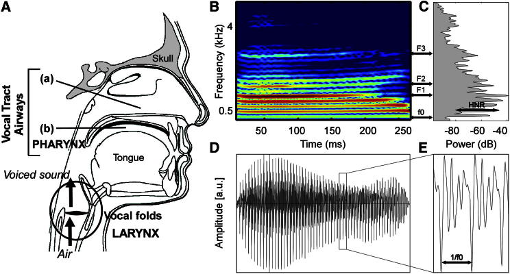 Figure 1