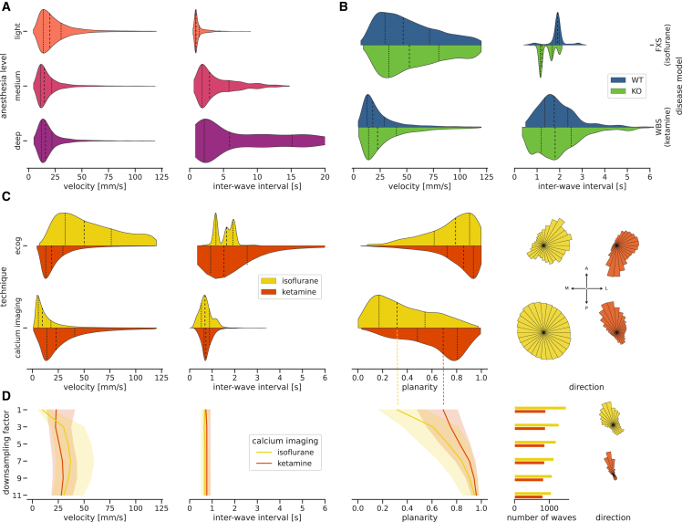 Figure 5