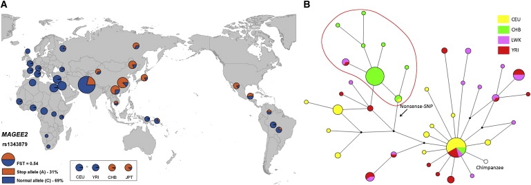 Figure 4