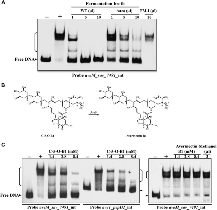 FIG 9