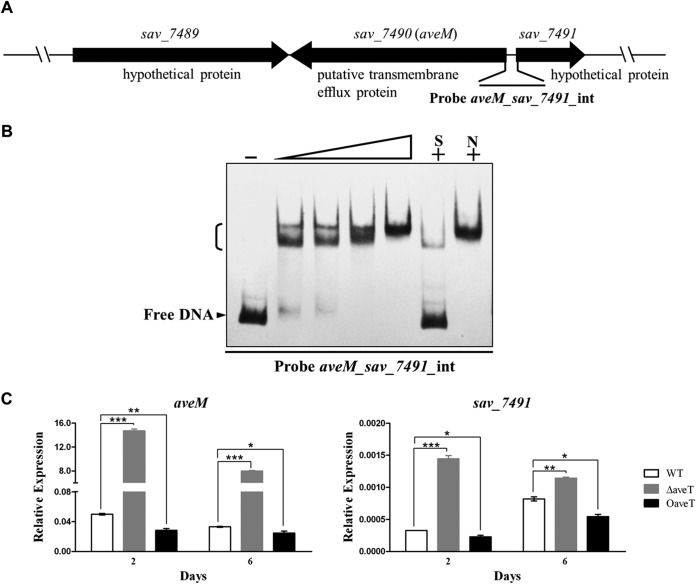 FIG 6