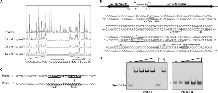 FIG 5