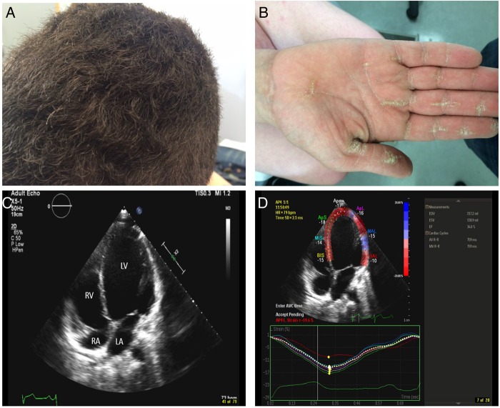 Figure 6