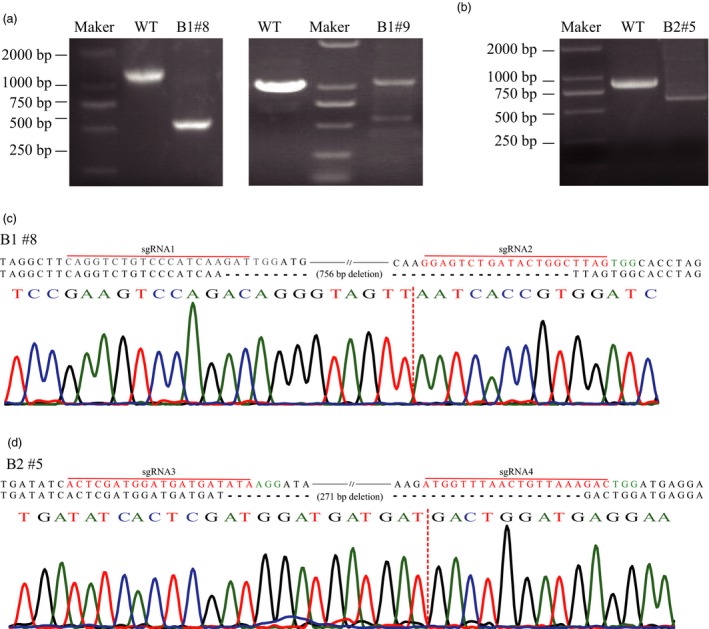 Figure 4