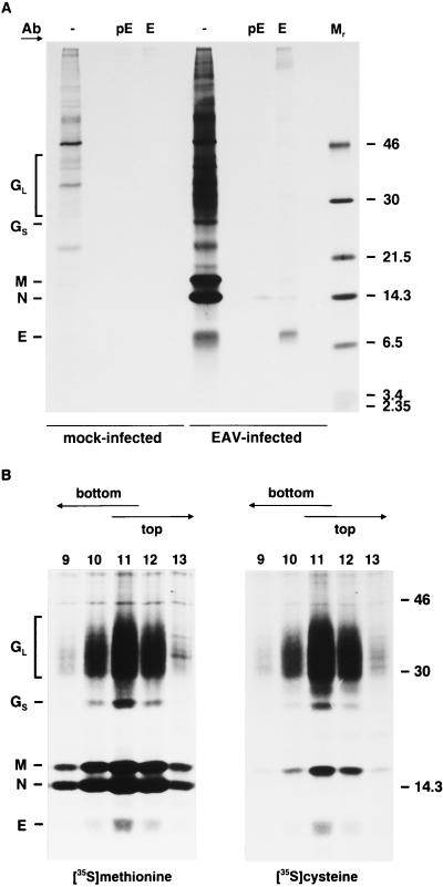 FIG. 7