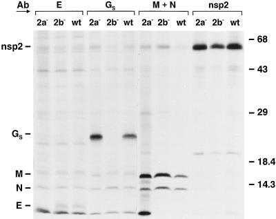FIG. 8