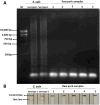 Fig. 10