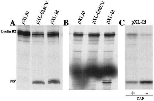 FIG. 1.