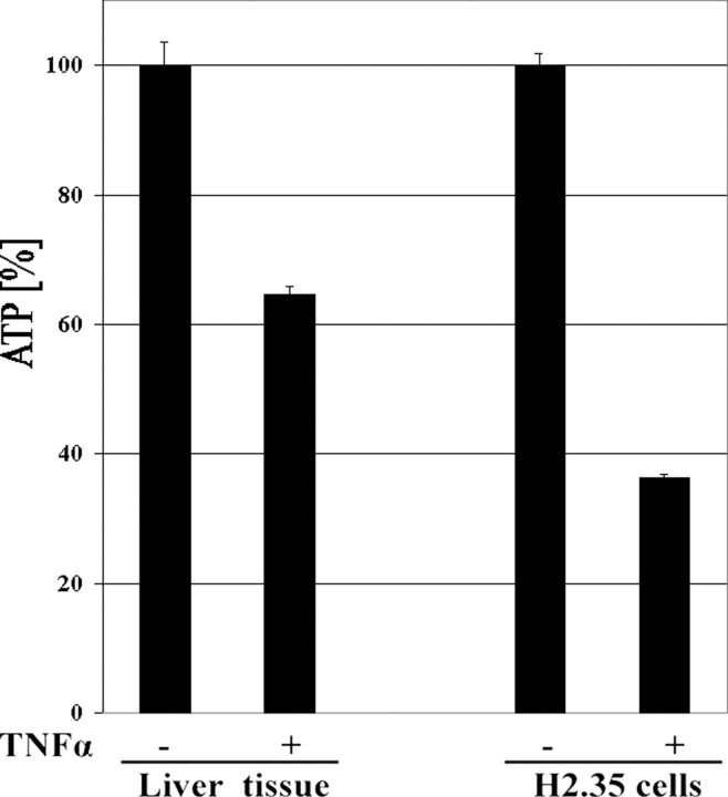 FIGURE 9.