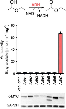 Fig. 7