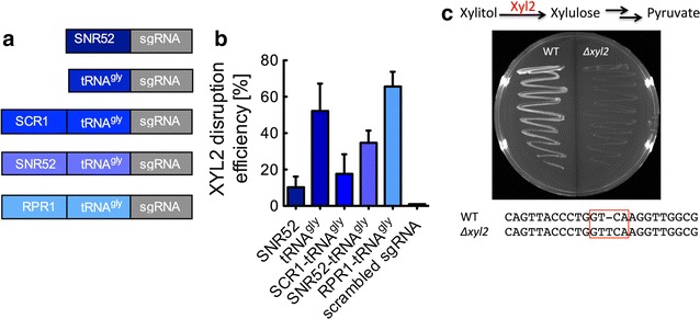 Fig. 3